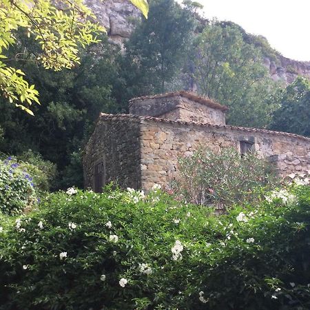 Maison Ancienne Minervois Villa La Caunette Exterior photo