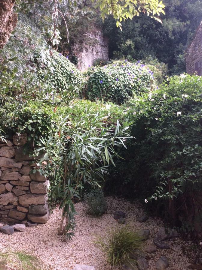 Maison Ancienne Minervois Villa La Caunette Exterior photo